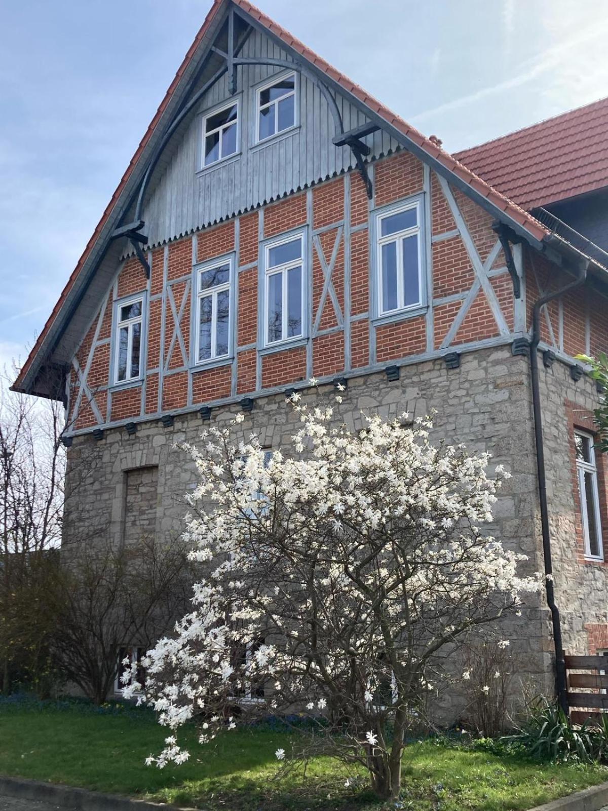 Gaestehaus Musestieg Thale Kültér fotó